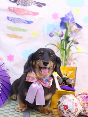 20240502モカちゃん